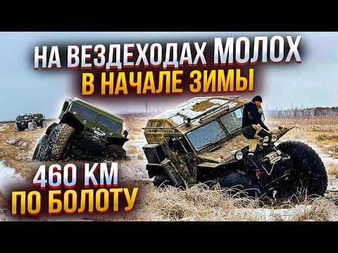 Видео: Вездеходы "Молох" по болотам в начале зимы.