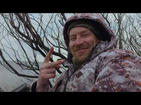 Видео: Охота на последних гусей.. /ЗИМА НЕ ТОРОПИТСЯ 