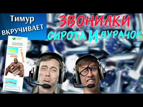 Видео: ЗВОНИЛКИ Сирота и Дурачок. Чеки от Тимура
