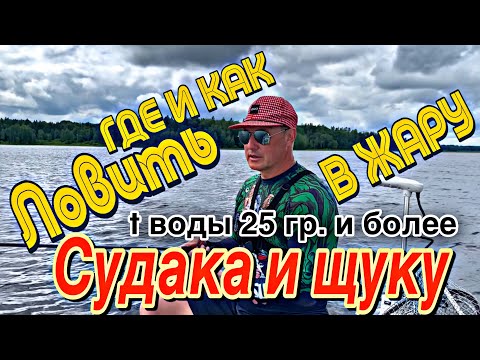 Видео: ГДЕ ИСКАТЬ СУДАКА В ЖАРУ??? ТЕМПЕРАТУРА ВОДЫ 25 гр. МОИ НАБЛЮДЕНИЯ!!! РЫБАЛКА 1.07.2024.