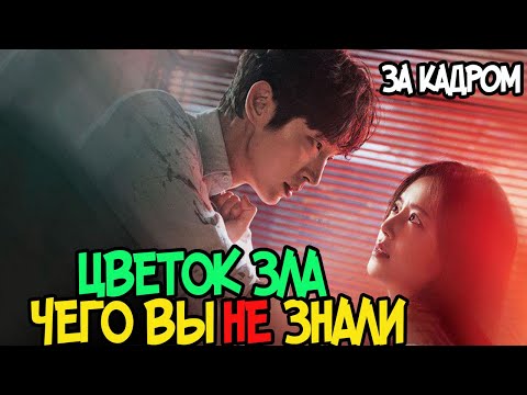 Видео: 8 вещей, которых Вы не знали о дораме «Цветок зла»