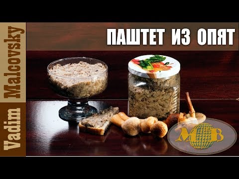 Видео: Консервация Паштет из опят или как сделать грибной паштет. Мальковский Вадим