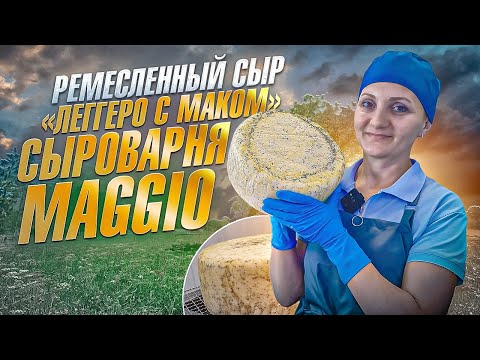 Видео: Как делается сыр "Леггеро с маком" на двух полтинниках Maggio / Ремесленная  "Сыроварня Елисеевых"