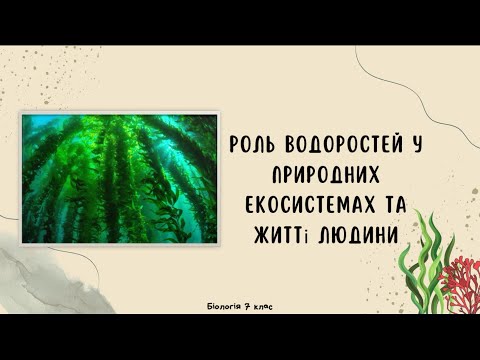 Видео: Роль водоростей в природних екосистемах та житті людини
