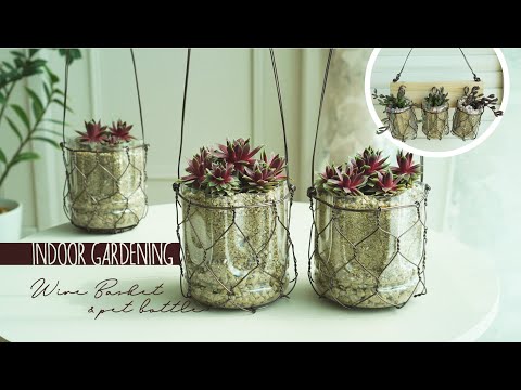 Видео: Садовая проволочная корзина, суккуленты, переработка пластика, горшок для пластиковых бутылок