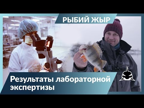 Видео: МОЖНО ЛИ ЕСТЬ РЫБУ ИЗ МОСКВА-РЕКИ?!   Рыбий жЫр 6 сезон.