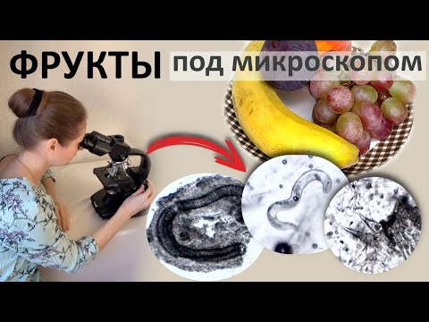Видео: Что можно найти во фруктах ?  Проверяем банан, виноград, персик, инжир...
