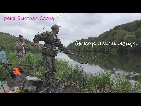 Видео: Лещи на реке Быстрая Сосна!