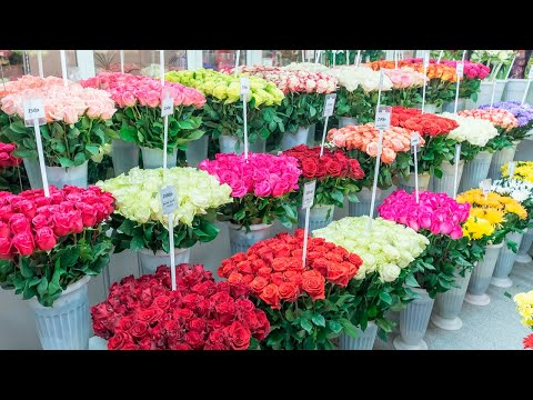 Видео: КАК ОТКРЫТЬ ЦВЕТОЧНЫЙ МАГАЗИН | БИЗНЕС С НУЛЯ НА ПРОДАЖЕ ЦВЕТОВ С ДОСТАВКОЙ