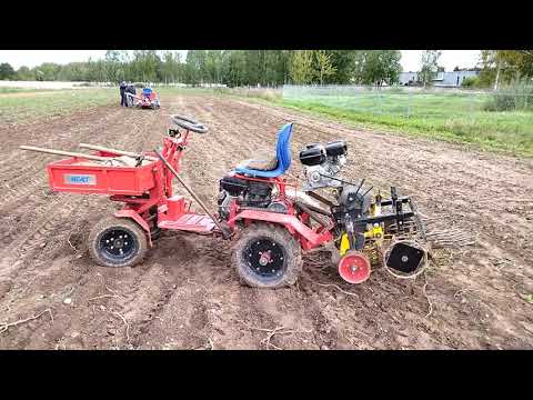 Видео: Уборка 1 Га картофеля