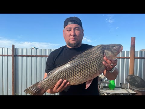 Видео: Большой сазан. Готовлю два блюда