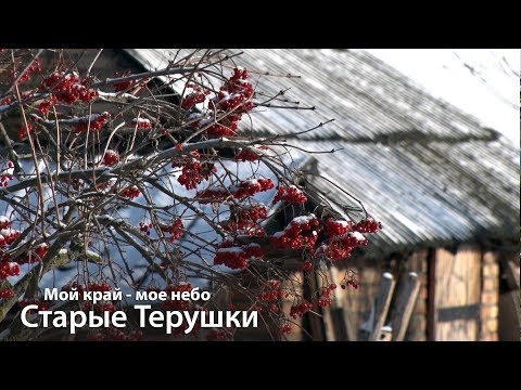 Видео: Мой край - мое небо. Выпуск от 28.11.2018