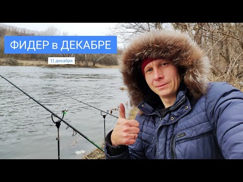 Видео: ФИДЕР в ДЕКАБРЕ на реке Северский Донец