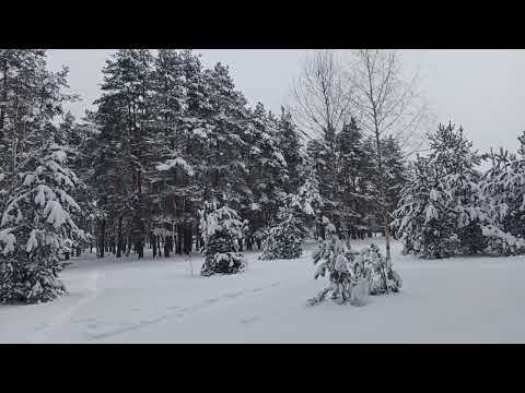 Видео: Зимняя сказка - 2024