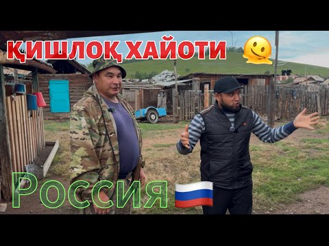 Видео: “Бундай уйда яшаган бўлармидингиз?” #уй #чорвачилик #қишлоқхўжалиги #узбекистан #киргизия 