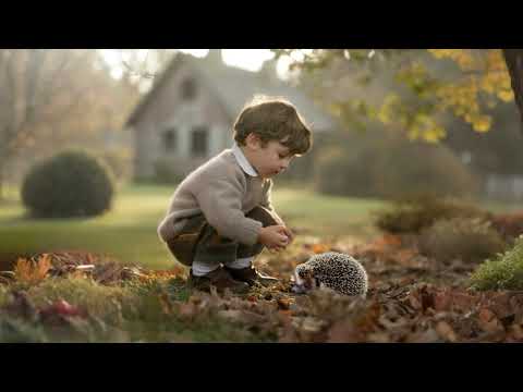 Видео: Лилия Носко - "Ёжик"