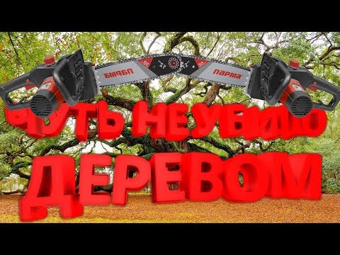 Видео: ШОК!!! ЧУТЬ НЕ УБИЛО ДЕРЕВОМ!!! обзор электропилы Parma M6