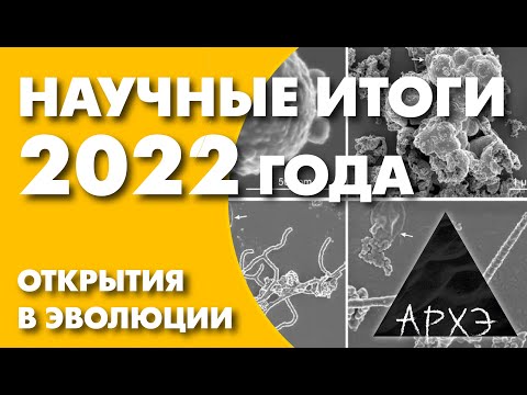 Видео: Александр Марков: "Открытия в эволюции. Итоги 2022 года"