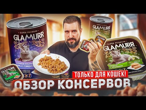 Видео: Эксклюзивно и только для кошек! GLAMURR премиальный влажный корм для кошек | Обзор корма