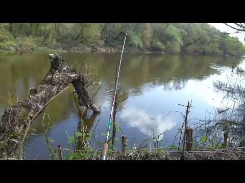 Видео: Рыбалка, на реке Оскол
