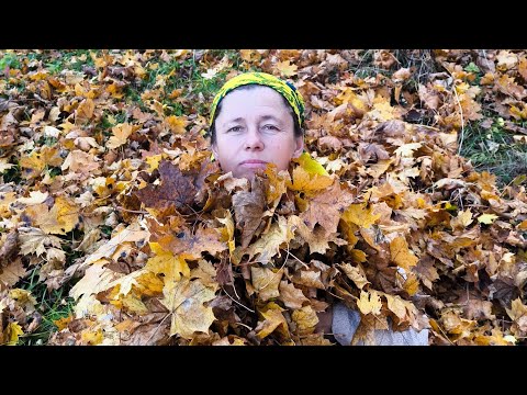 Видео: запрошую поспілкуватися друзі