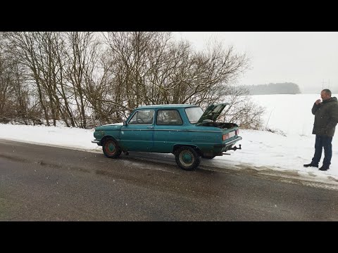 Видео: ЗАЗ, который смог! Покупка и перегон Запорожца.