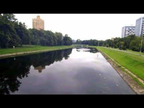 Видео: Подводный мир. Восточный мост. 23.08.2025.