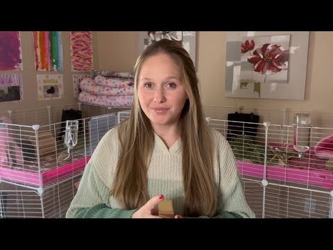 Видео: Пора расправить крылья и взлететь. Ты играл в мелочи и недооценивал себя.