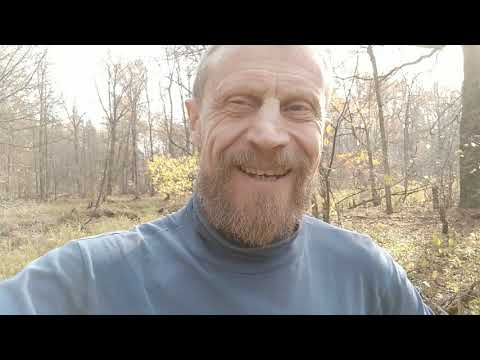 Видео: На речке Велетьма  2020  часть 2