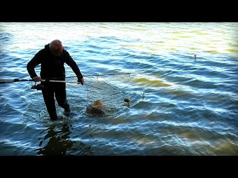 Видео: Які Лящі, коли сезон Дубасити Машок на Дніпрі !!!