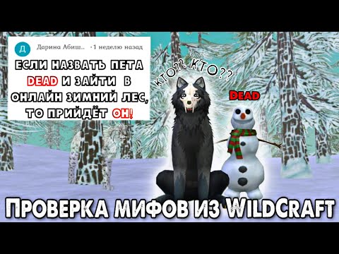 Видео: ПРОВЕРКА МИФОВ ИЗ WildCraft // Ваши мифы