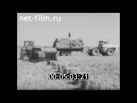 Видео: 1985г. Актюбинск. ПО "Актюбрентген". подсобное хозяйство. Казахстан
