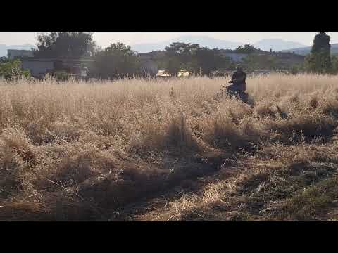 Видео: @MiroBonevBCSBulgaria . Косене като за световно! БЧС 303 + Мирослав Бонев = Перфектна комбинация