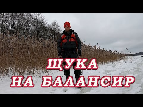 Видео: Как поймать ЩУКУ на БАЛАНСИР!  Щука может клевать так ПОД КАЖДЫМ КУСТОМ!