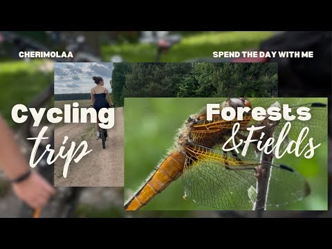 Видео: Mini-mini vlog/Я покажу тебе частичку природы Беларуси! 🚴🏻‍♀️🌲🐾🪵🪻🪹