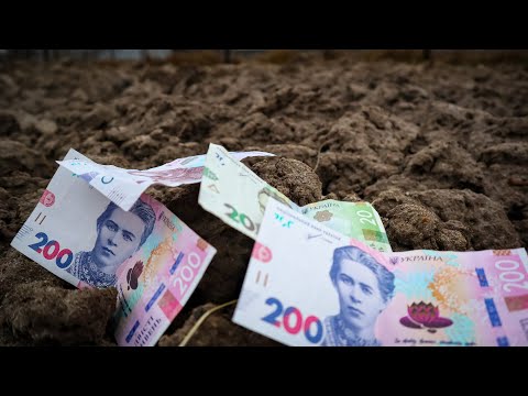 Видео: Яку площу землі треба Засадити,щоб Не Ходити на РОБОТУ?