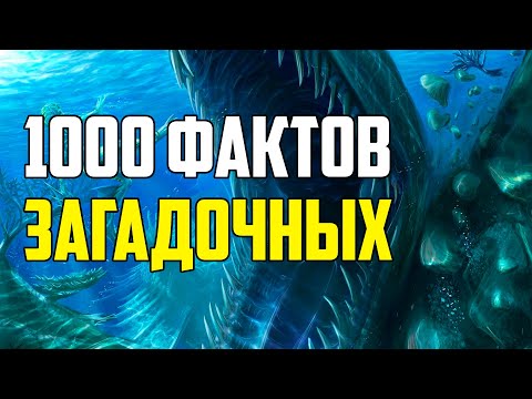 Видео: 1000 ЗАГАДОЧНЫХ ФАКТОВ, КОТОРЫЕ ХОТЯТ ВСЕ ЗНАТЬ