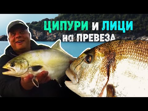 Видео: ЦИПУРИ и ЛИЦИ на Превеза