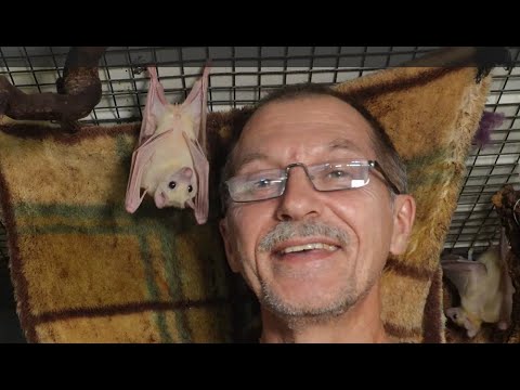 Видео: Мировая зараза или ангельская внешность?