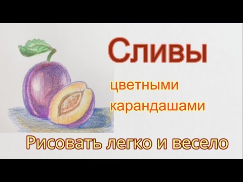 Видео: Сливы. Как нарисовать цветными карандашами