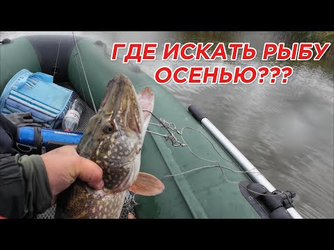 Видео: Джиг на Кубани. Судак, щука! Где искать рыбу осенью?