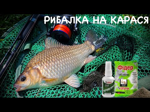 Видео: ЛОВЛЯ КАРАСЯ НА ПІКЕР|Flagman Sherman Pro Picker