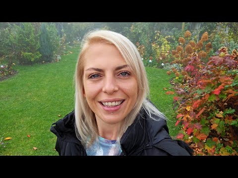 Видео: ЯБЪЛКИ: #Ден 65 от 90 ДНИ НА СЕЛО