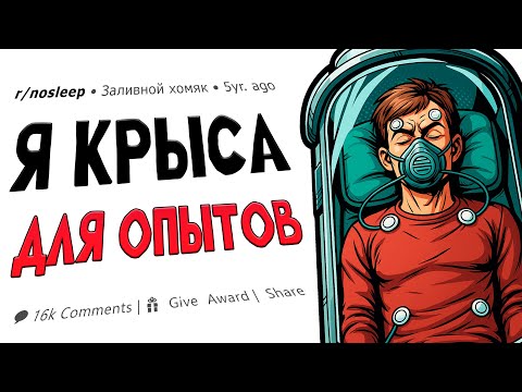Видео: Я Стал Подопытной Крысой за 5000$ | Reddit истории.