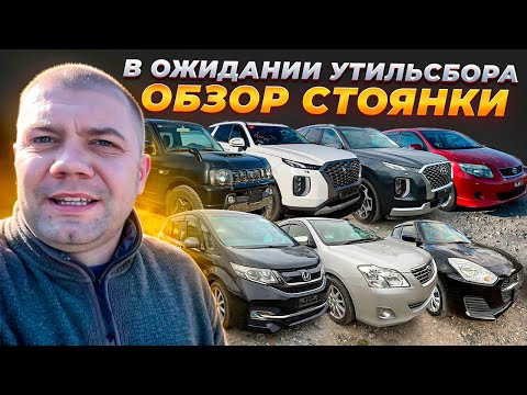 Видео: Что с ценами на авто ! Palisade, Jimny, Fielder, Stepwgn, Premio, Swift