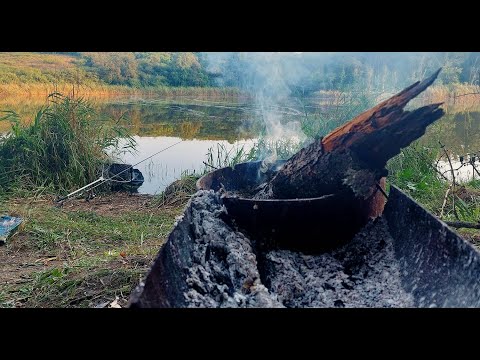 Видео: Товстолобик клює один за одним, короп пішов спати.