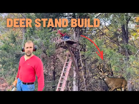 Видео: НИКОГДА не стройте такую ​​стоянку для оленей!