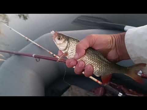 Видео: 24 сентября 2025 г.