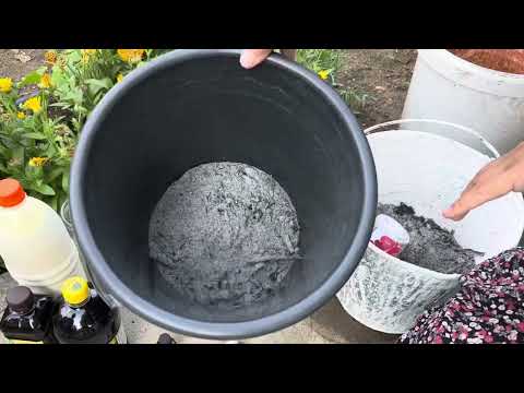 Видео: Қызанақтар осы тыңайтқыштан соң ірі әрі тәтті болады #тыңайтқыш #қызанақ #помидор #табиғи