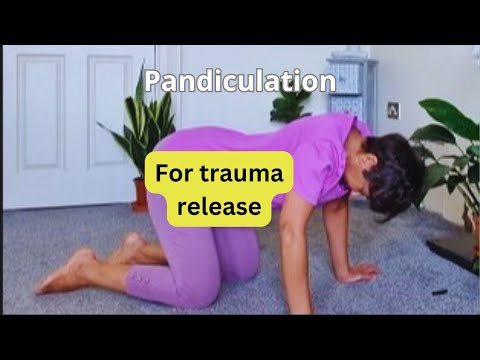 Видео: Пандикуляция как практика снятия травмы в соматической терапии